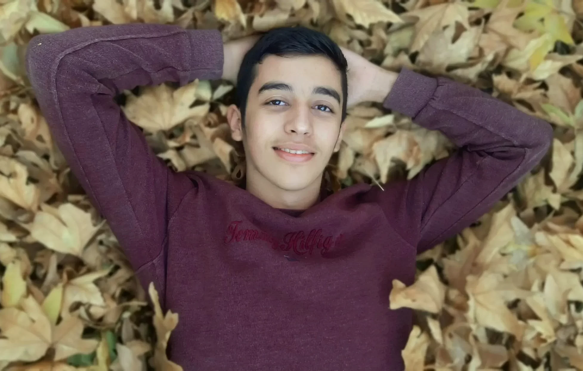 سید محمد رضا طباطبایی طراح سایت